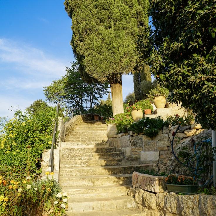 Outdoor terrace seating good for families in Madrid